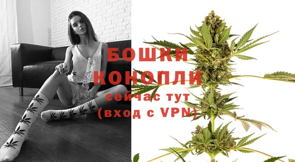 СК Михайлов